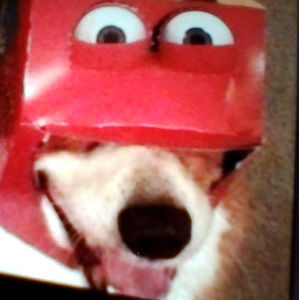 Meet your Posher, Janate